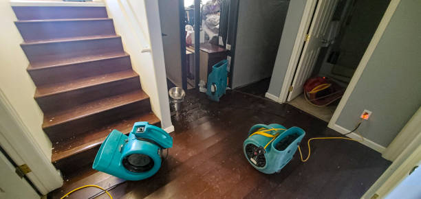 Best Water damage contractors near me  in Lithonia, GA