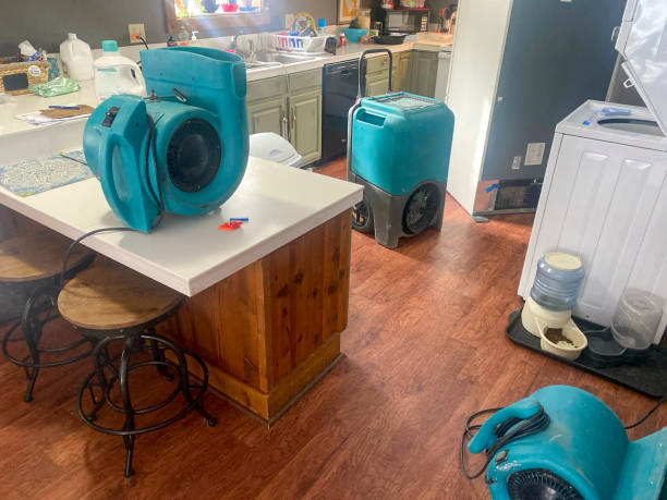 Best Flooded house restoration  in Lithonia, GA