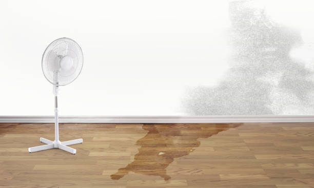 Best Flood damage cleanup  in Lithonia, GA