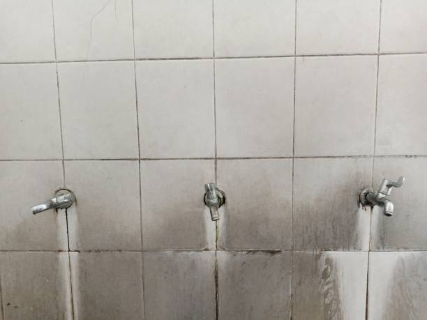 Best Carpet water damage restoration  in Lithonia, GA