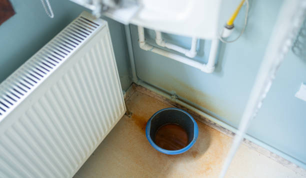 Best Mold removal after water damage  in Lithonia, GA