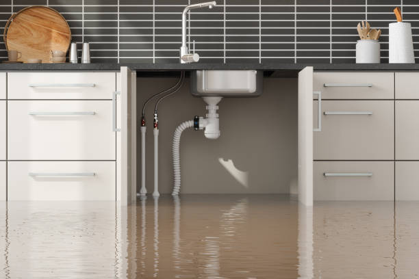 Best Commercial water damage restoration  in Lithonia, GA