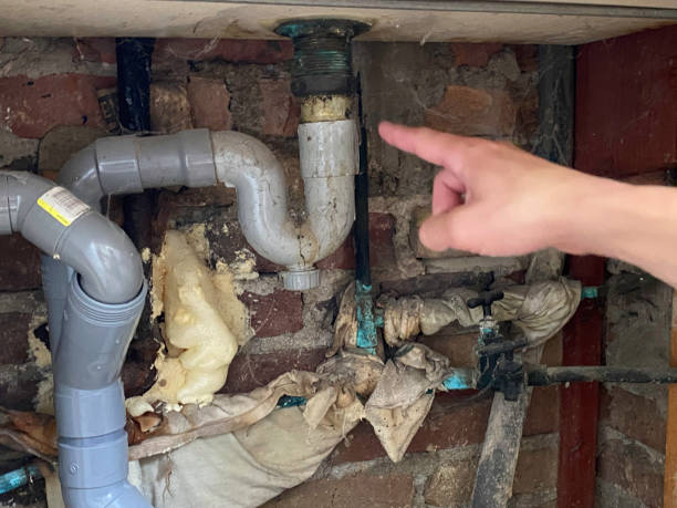 Best Water damage cleanup near me  in Lithonia, GA