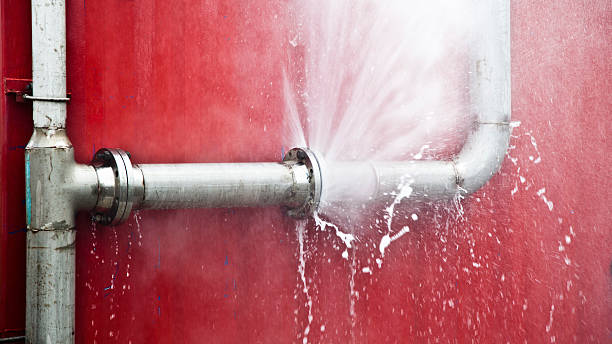 Best Professional water damage repair  in Lithonia, GA