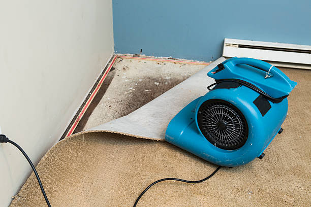 Best Emergency water damage restoration  in Lithonia, GA